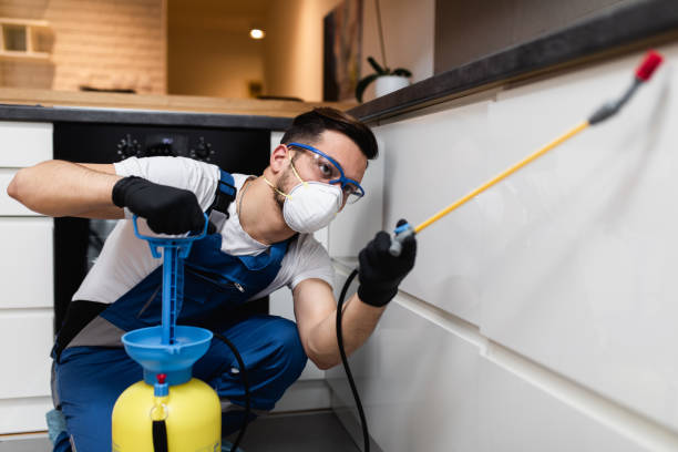 Best Ant Control Services  in Mount Ivy, NY