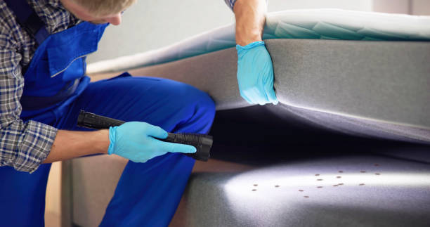 Best Pest Prevention Services  in Mount Ivy, NY